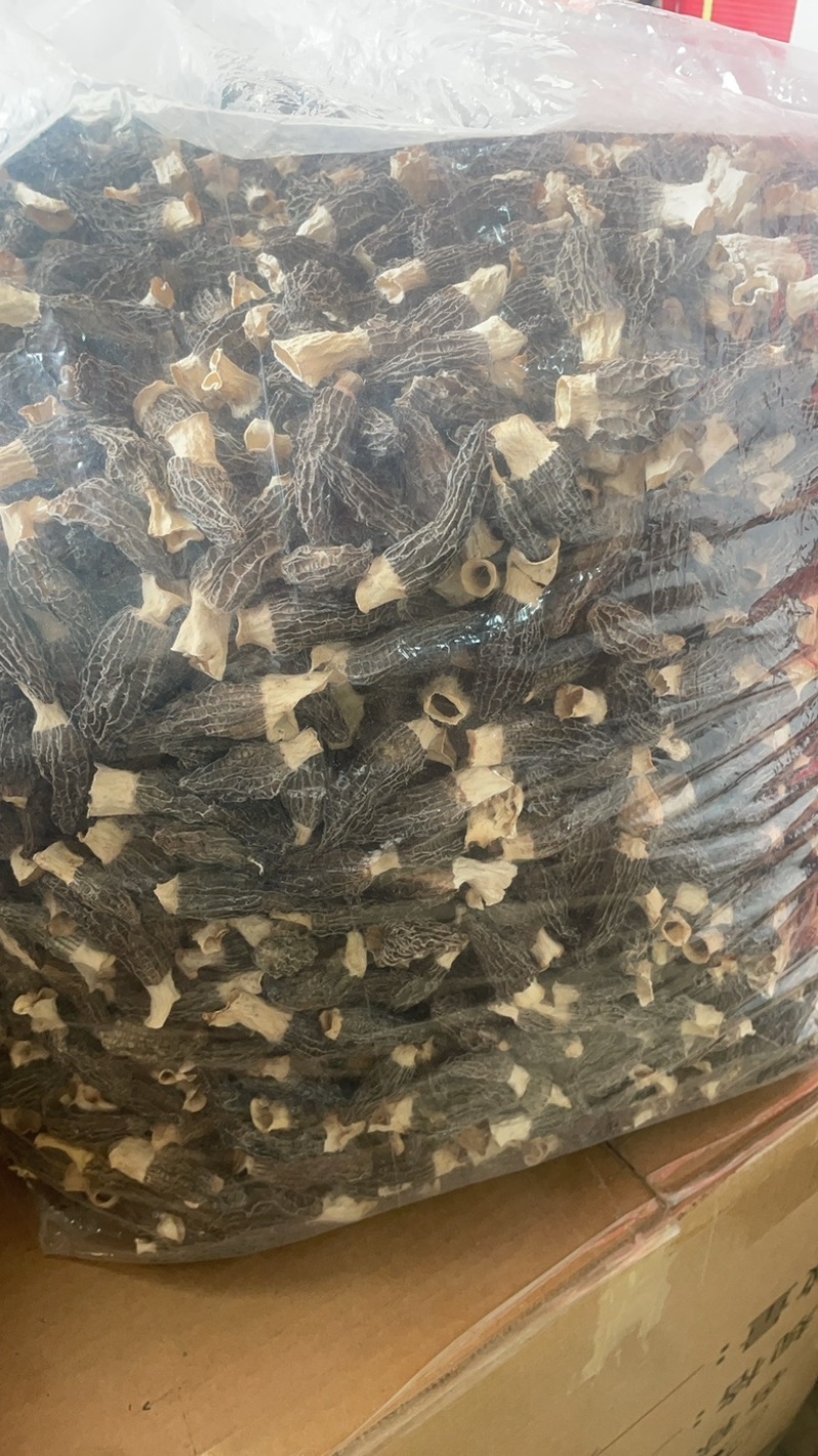 5到8羊肚菌大货批发一手货源
