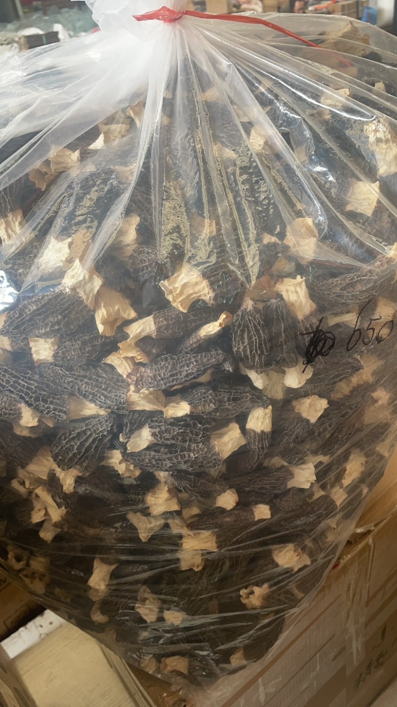 5到8羊肚菌大货批发一手货源