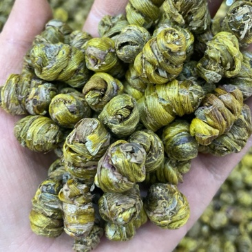 铁皮石斛枫斗大货批发一手货源品质保证