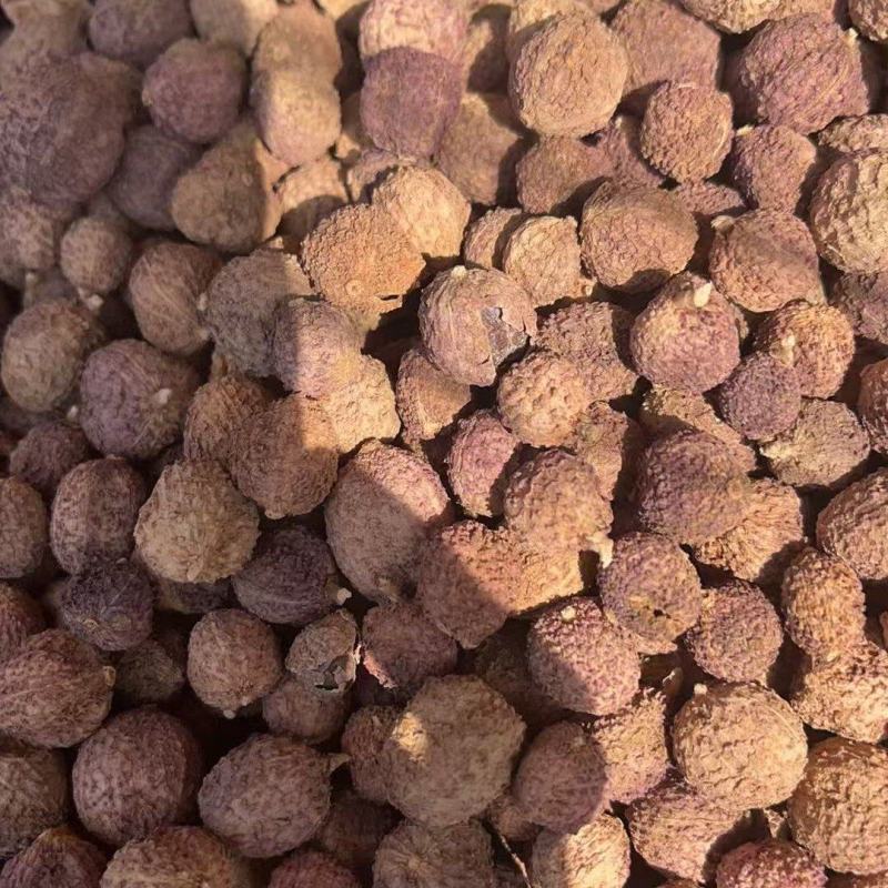 阳春砂囤货干货现货价格优惠
