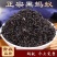 黑蚂蚁批发黑蚂蚁规格齐全可供大货量大价优