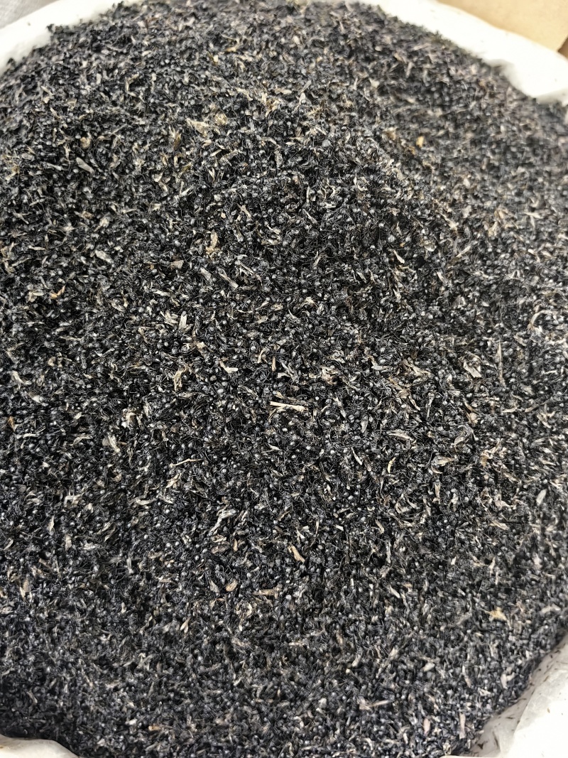 黑蚂蚁批发黑蚂蚁规格齐全可供大货量大价优