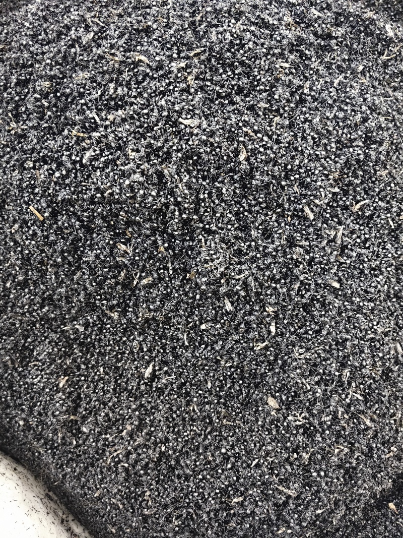 黑蚂蚁批发黑蚂蚁规格齐全可供大货量大价优