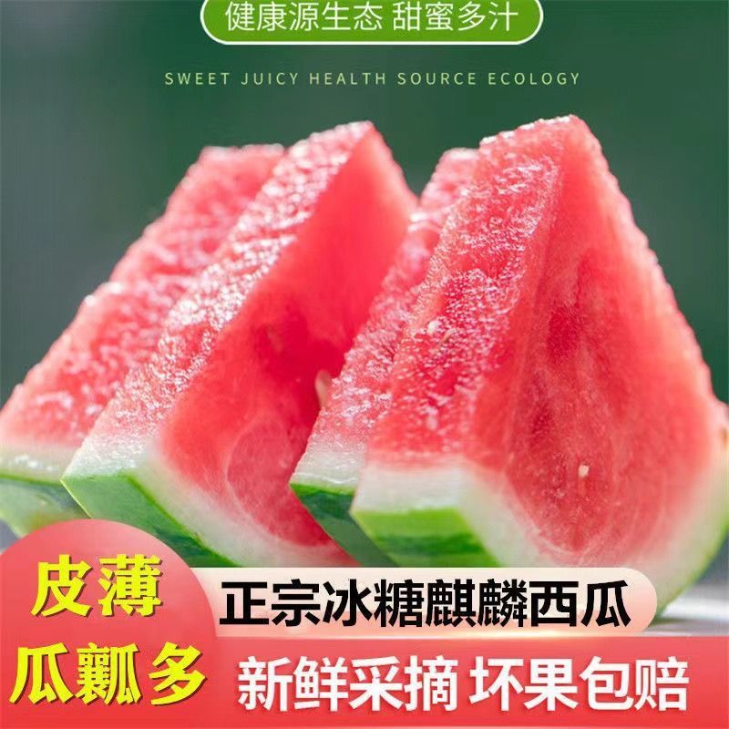 【推荐】夏邑无籽美都，麒麟瓜质量保证，产地一手货源发全国