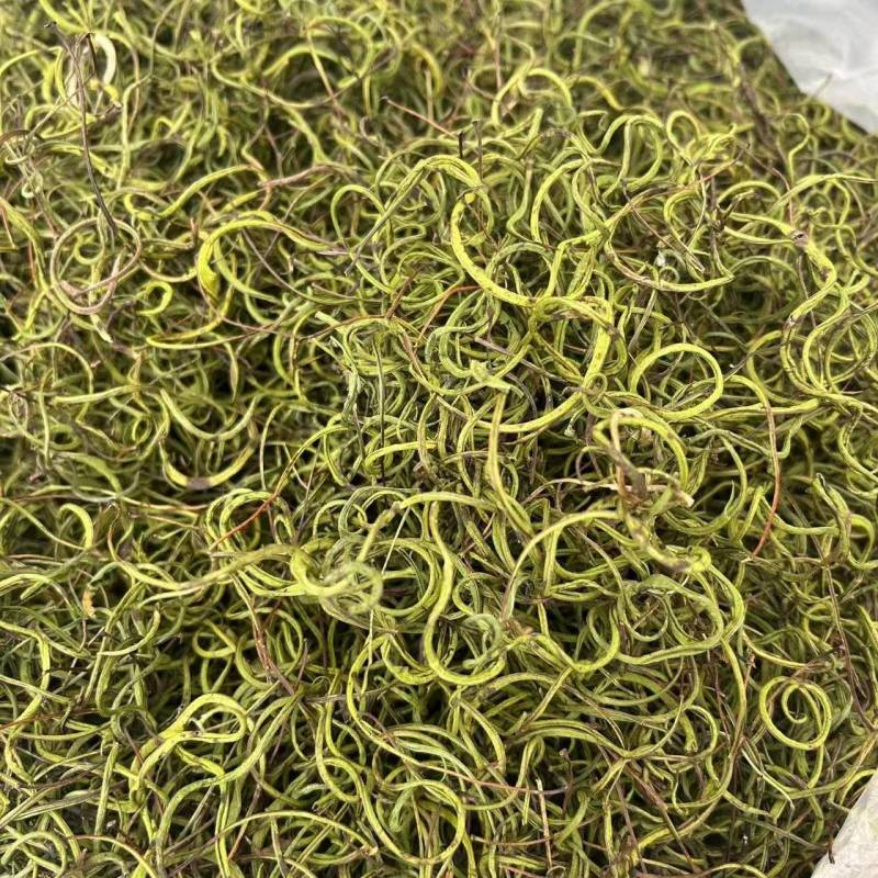 肾精茶