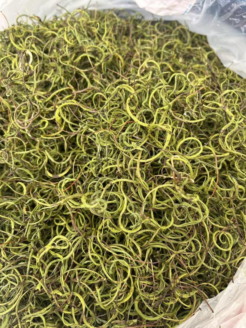 肾精茶