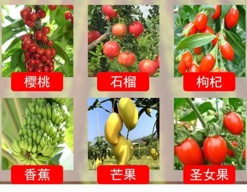 一喷红增色剂辣椒番茄西红柿催红素催红剂苹果柑橘葡萄桃子催