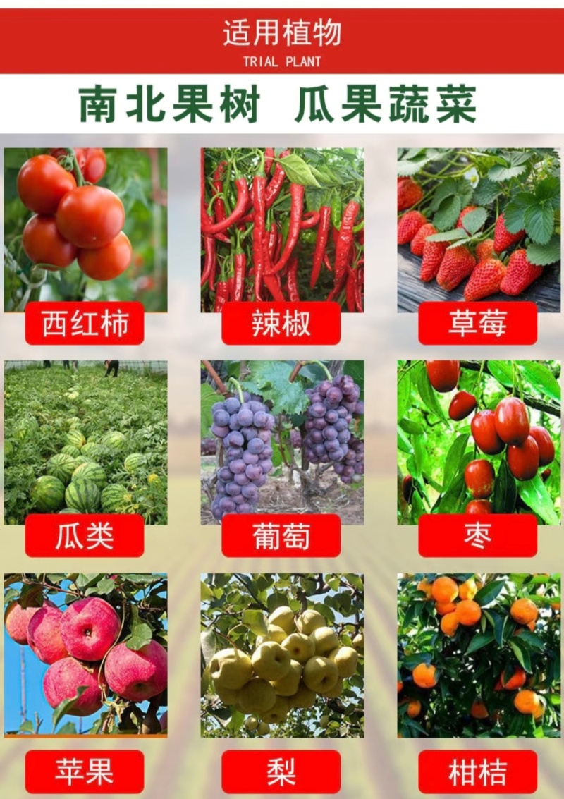 一喷红增色剂辣椒番茄西红柿催红素催红剂苹果柑橘葡萄桃子催