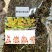 缅甸野生红白珠虫石斛真品正货！***，无硫磺熏蒸！