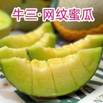海南牛三蜜瓜牛3网纹瓜，产地直发，可对接电商商超等