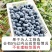 产地直发-电商社区团购，顺丰包邮一件代发。各种规格品种