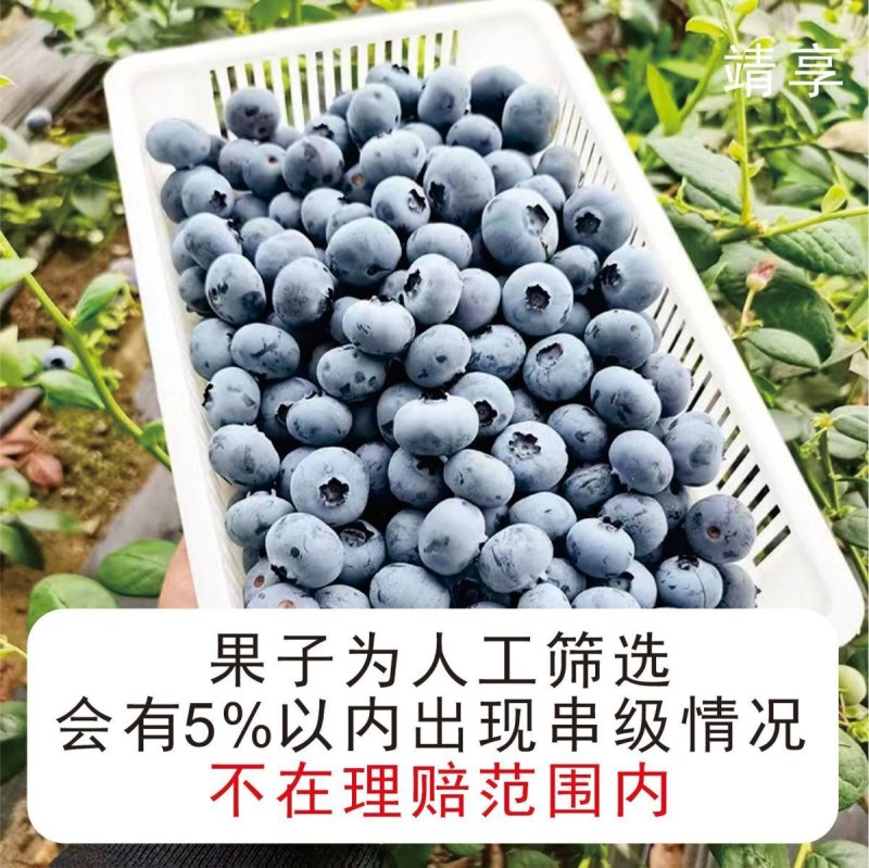 产地直发-电商社区团购，顺丰包邮一件代发。各种规格品种