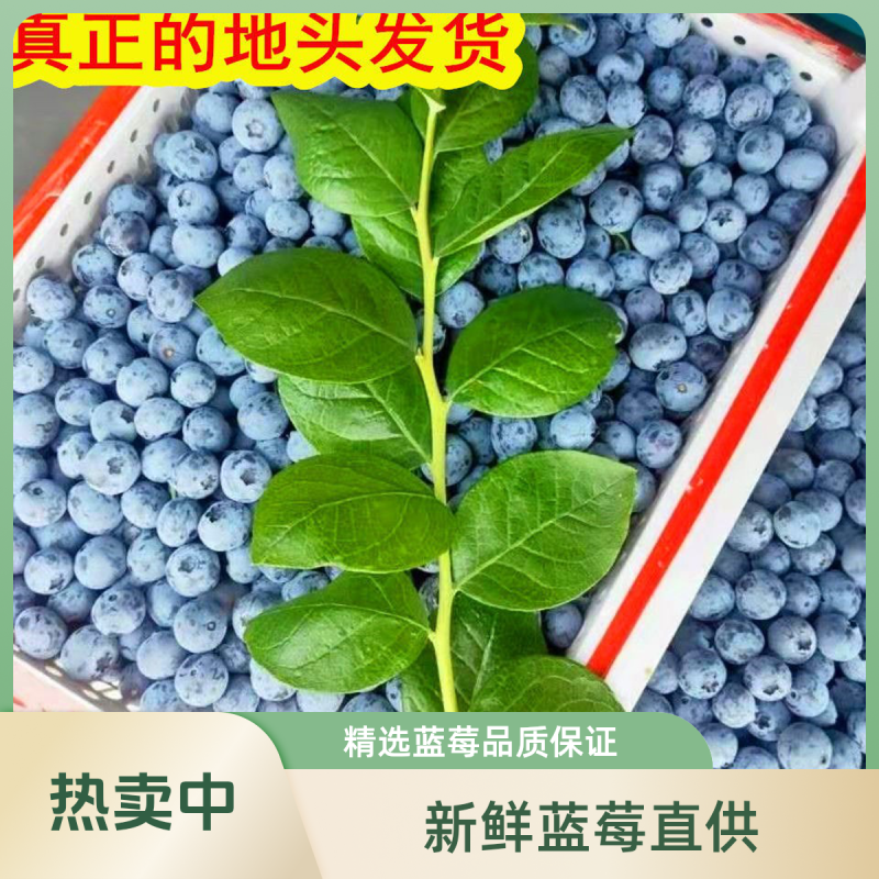 产地直发-电商社区团购，顺丰包邮一件代发。各种规格品种