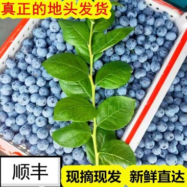 产地直发-电商社区团购，顺丰包邮一件代发。各种规格品种