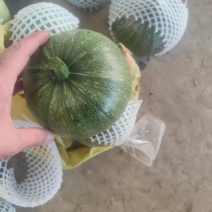 湖北枝江嫩南瓜，一手货源，质量都很好，快递代发