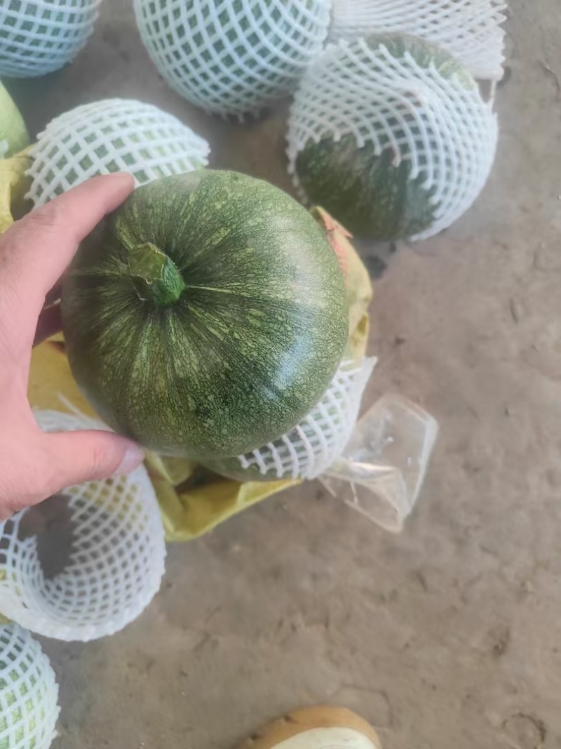 湖北枝江嫩南瓜，一手货源，质量都很好，快递代发