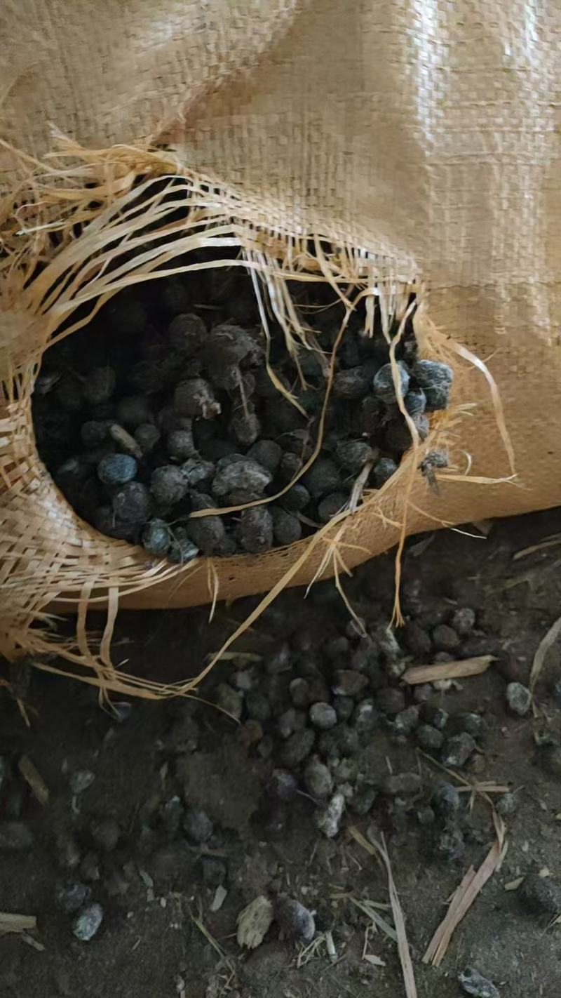 颗粒羊粪球，羊粪蛋袋装，干湿分离，一袋20斤