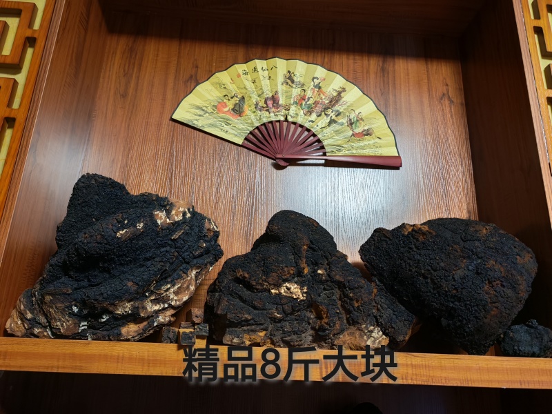 桦树茸，白桦茸，桦褐孔菌，全品类批发，质量好，全国批发