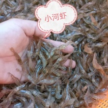 招牌河虾，价格便宜，冰鲜/冻版发货