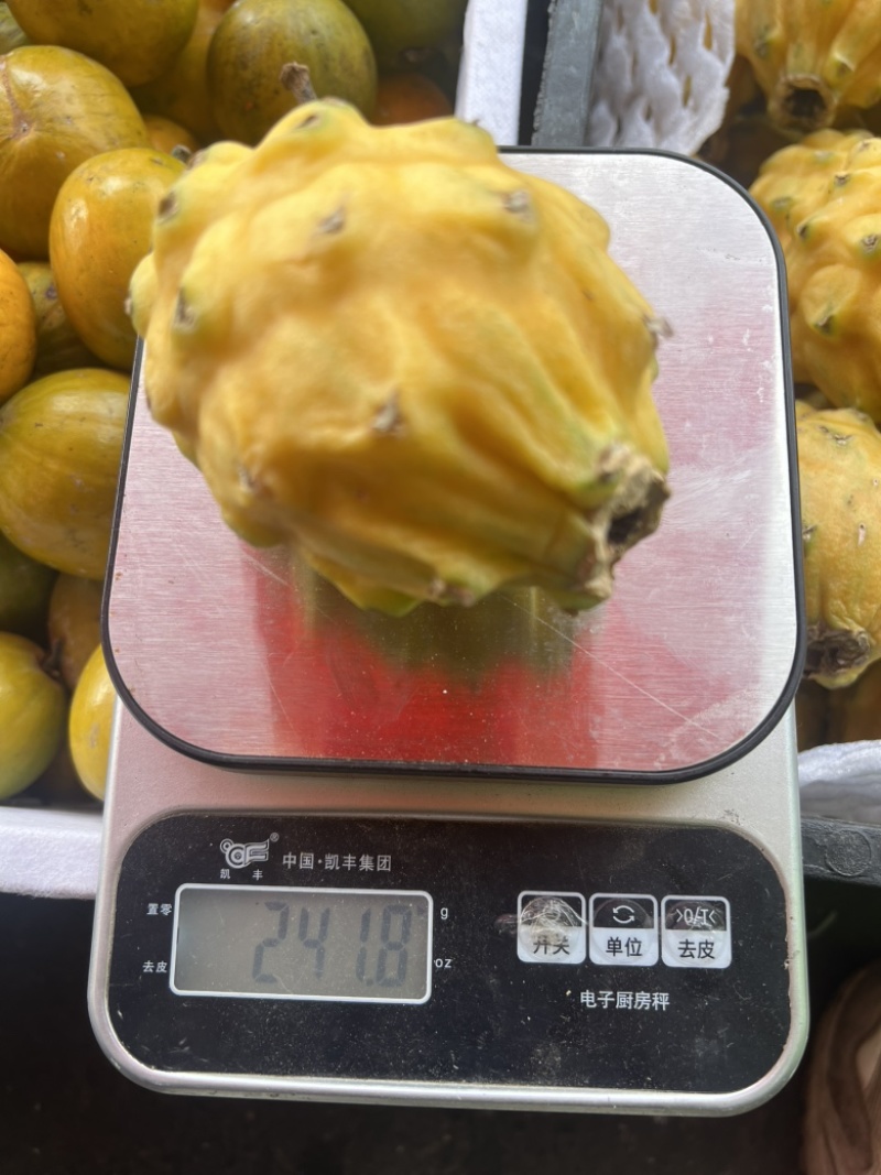 燕窝果麒麟果云南西双版纳傣族自治州勐海县现货批发对接全国