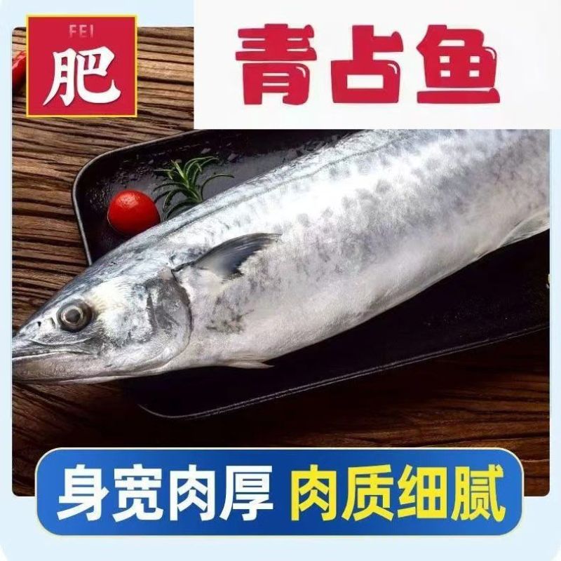 鲐鲅鱼青占鱼鲭鱼海捕船冻单冻加工品质保证罐头厂量大优惠