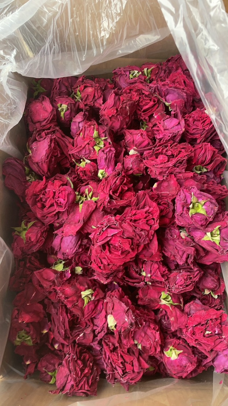 冻干墨红玫瑰批发一手货源大货批发