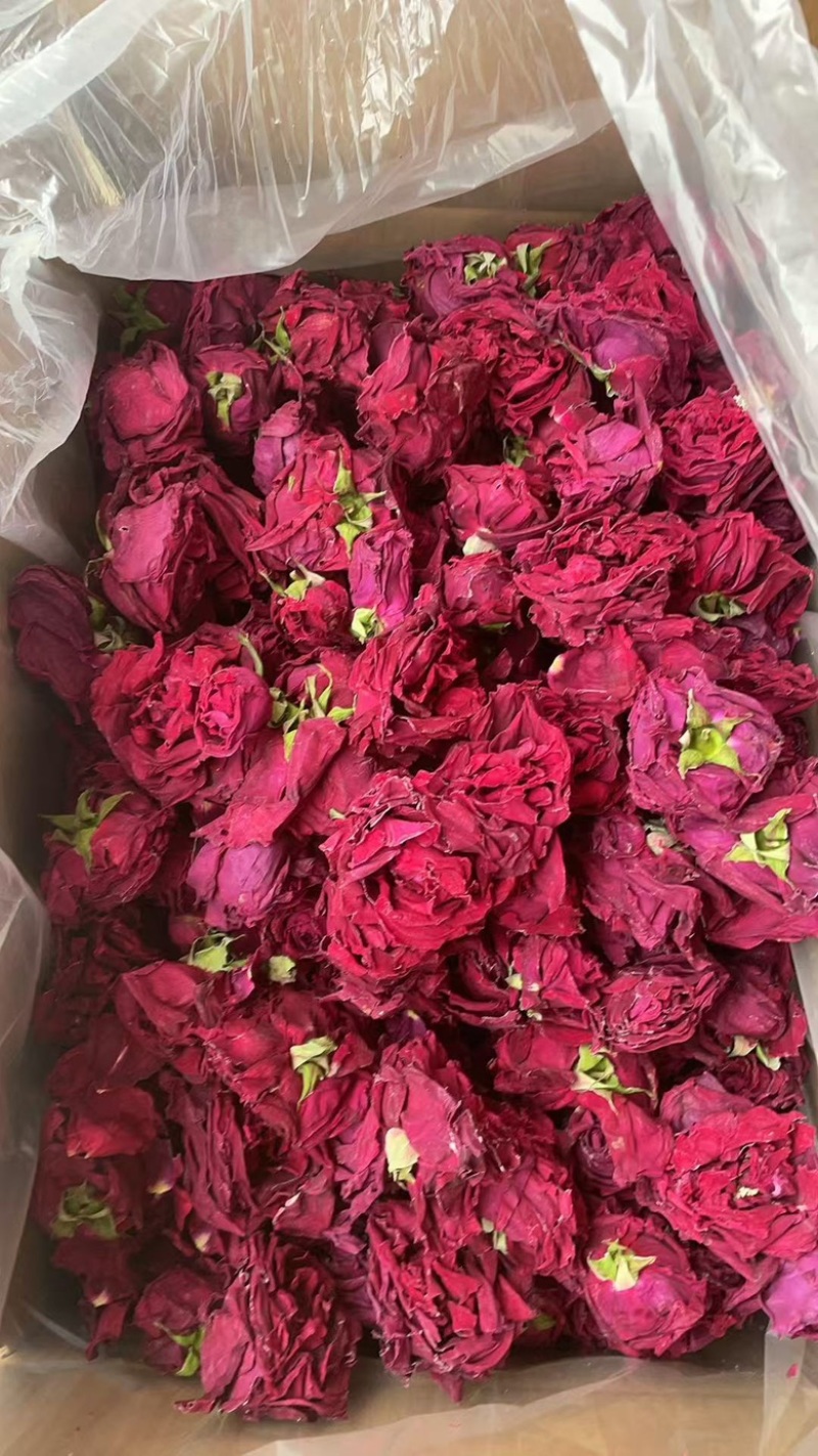 冻干墨红玫瑰批发一手货源大货批发