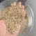 带壳燕麦货源充足量大从优诚信经营欢迎咨询