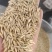 带壳燕麦货源充足量大从优诚信经营欢迎咨询