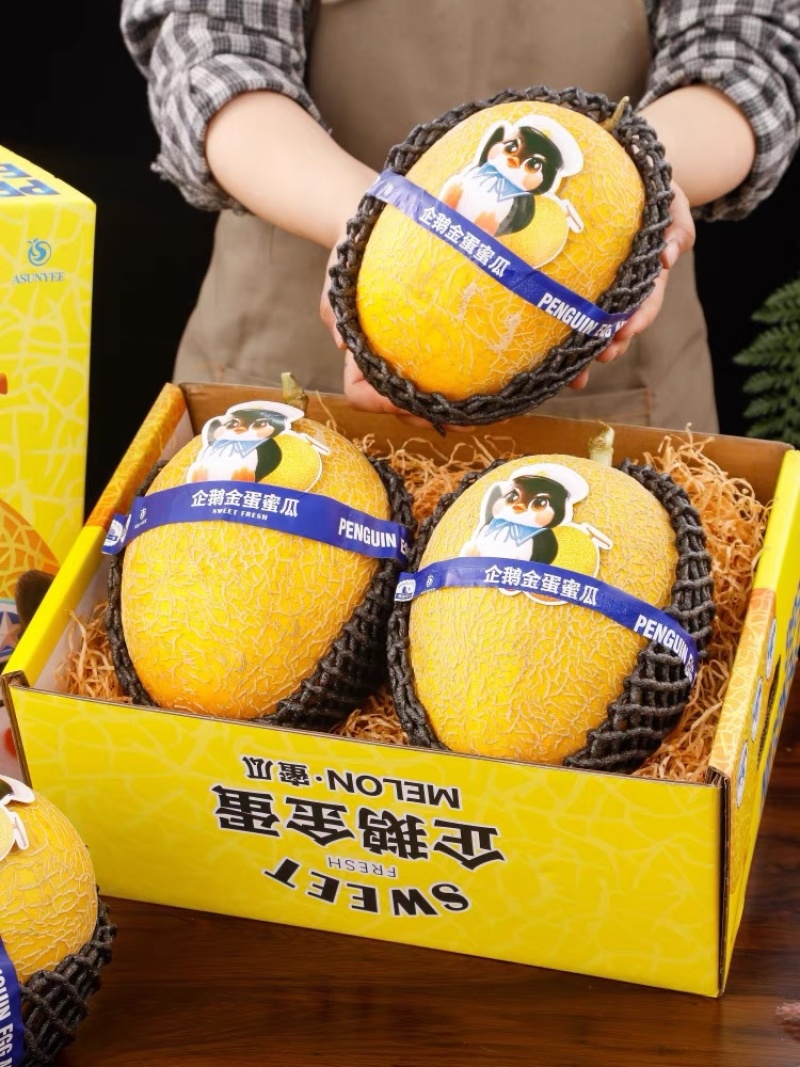 山东凤金6号黄金6号凤金六号黄25