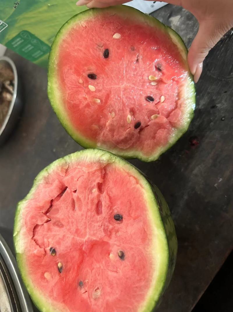 全美2k小西瓜，正宗手剥皮，一手货源批发零售，全天有货