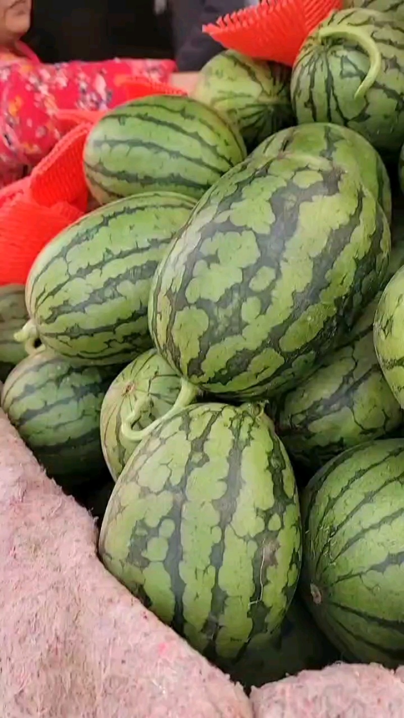 全美2k小西瓜，正宗手剥皮，一手货源批发零售，全天有货