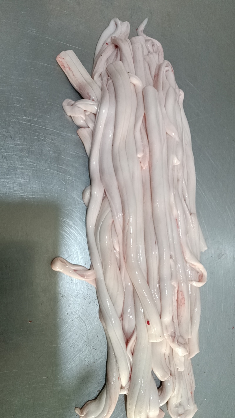 精修牛骨髓纯牛脊骨髓