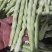 平度芸豆大量上市中，质量好，价格便宜