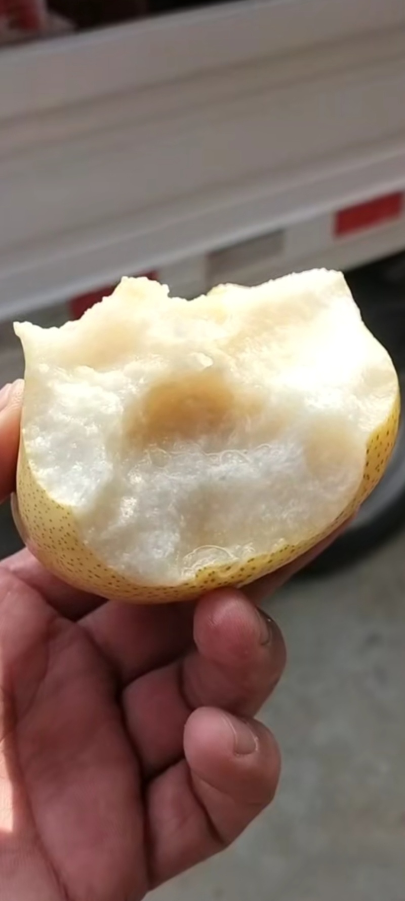 砀山梨果面干净含糖量高，产地直销，诚信交易，整车代发