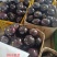 【实力】山东精品圆茄，紫光圆茄，全国发货，对接市场，电商