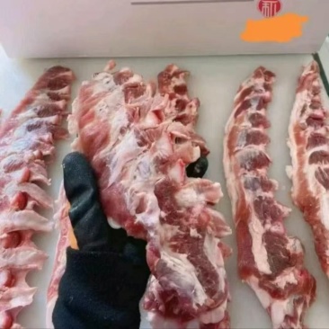 猪软骨