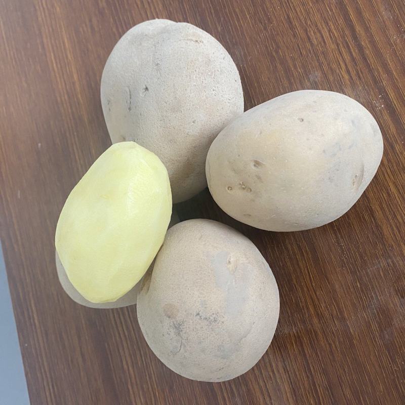 沃土土豆黄心黄皮沙地土豆，大量现货，欢迎采购