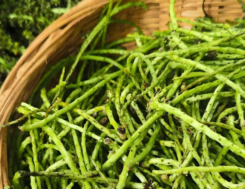 野菜