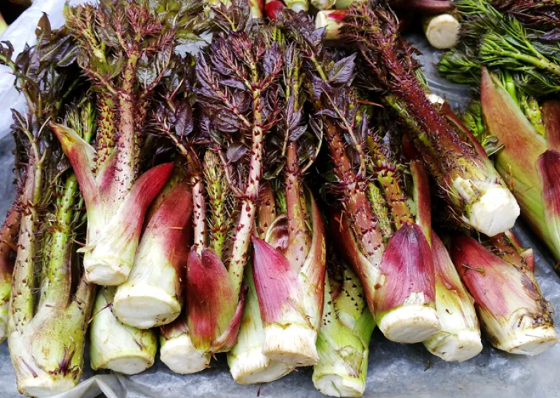 野菜