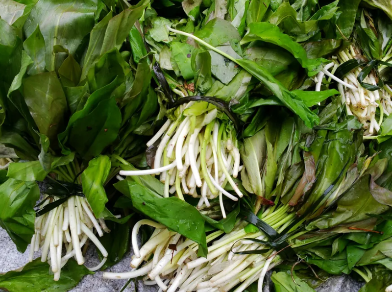 野菜