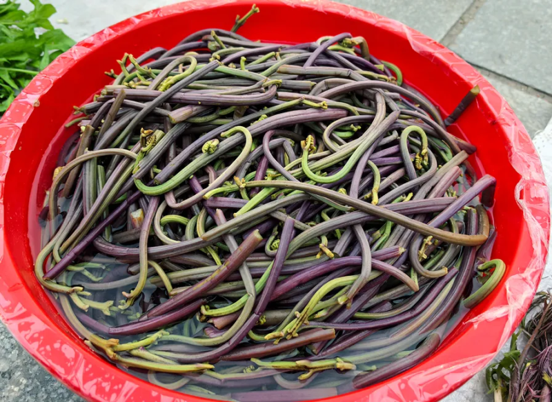 野菜