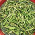 野菜