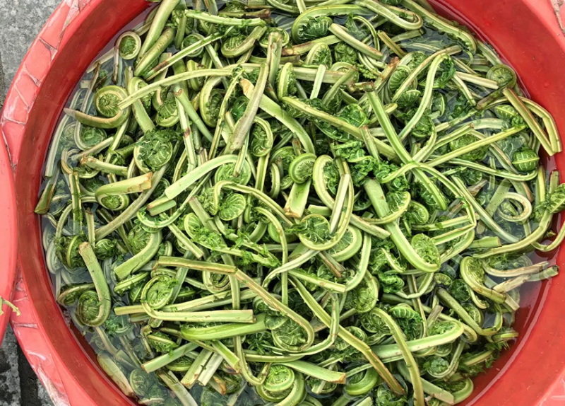 野菜