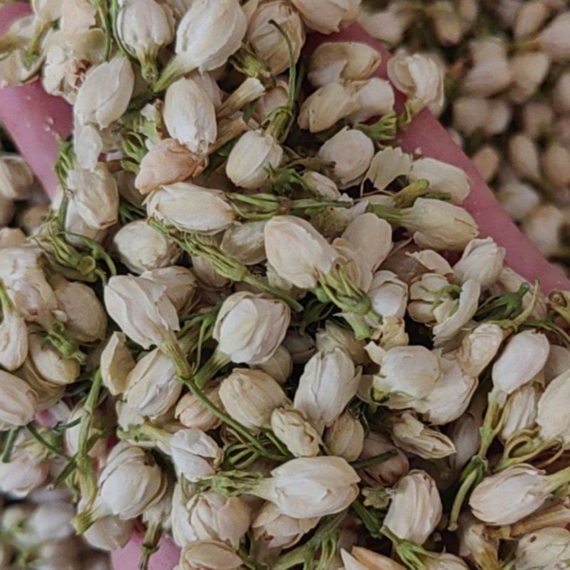 茉莉花产地价格