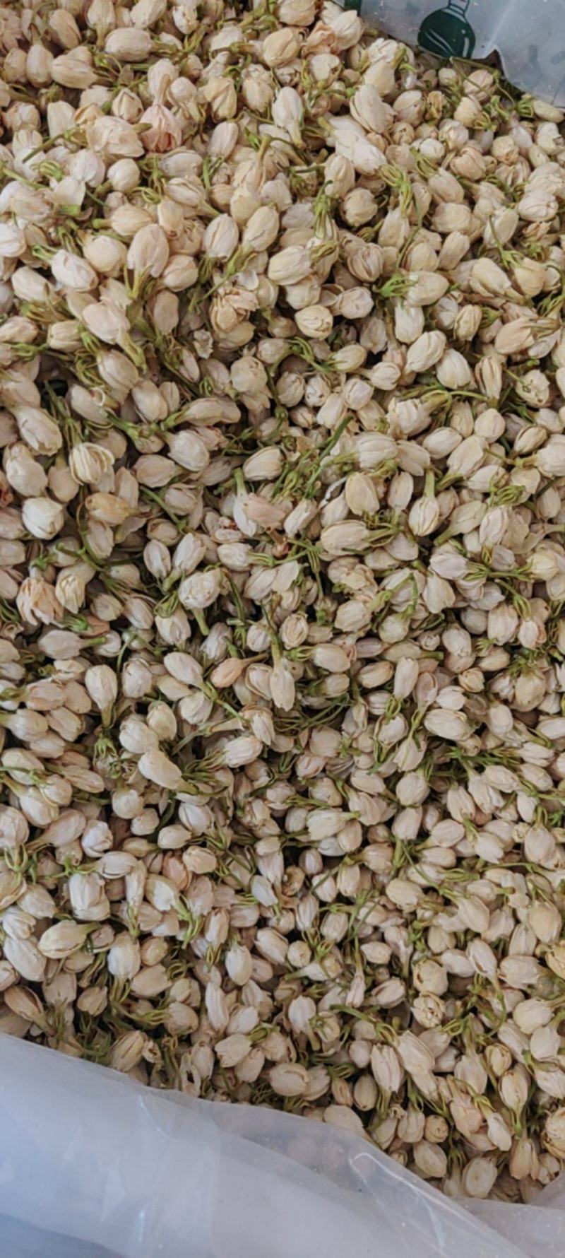 茉莉花产地价格