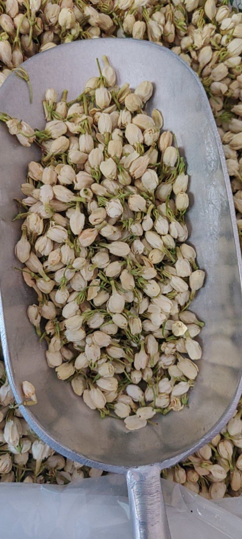 茉莉花产地价格