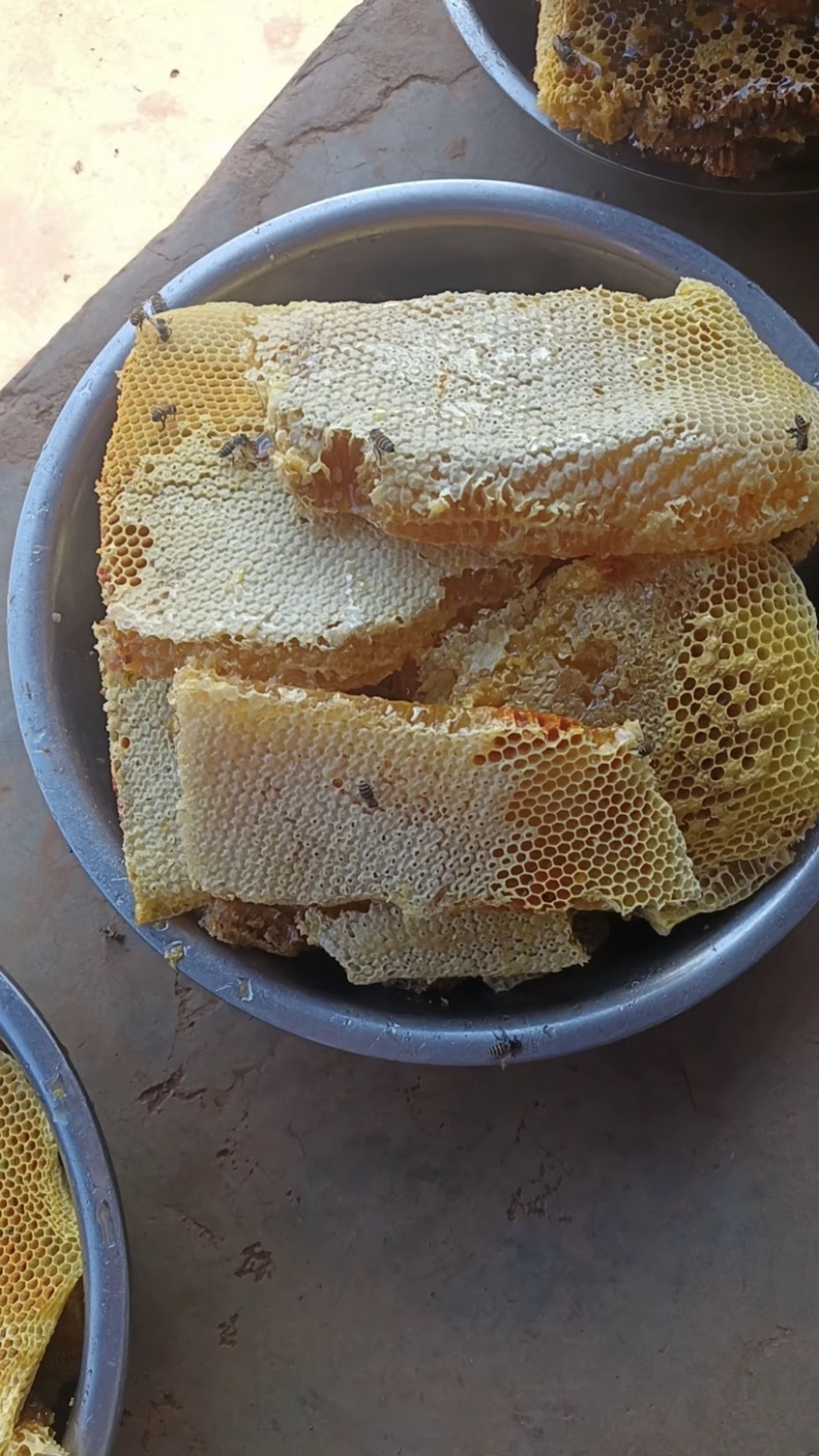 云南高山土蜂蜜优质土蜂蜜