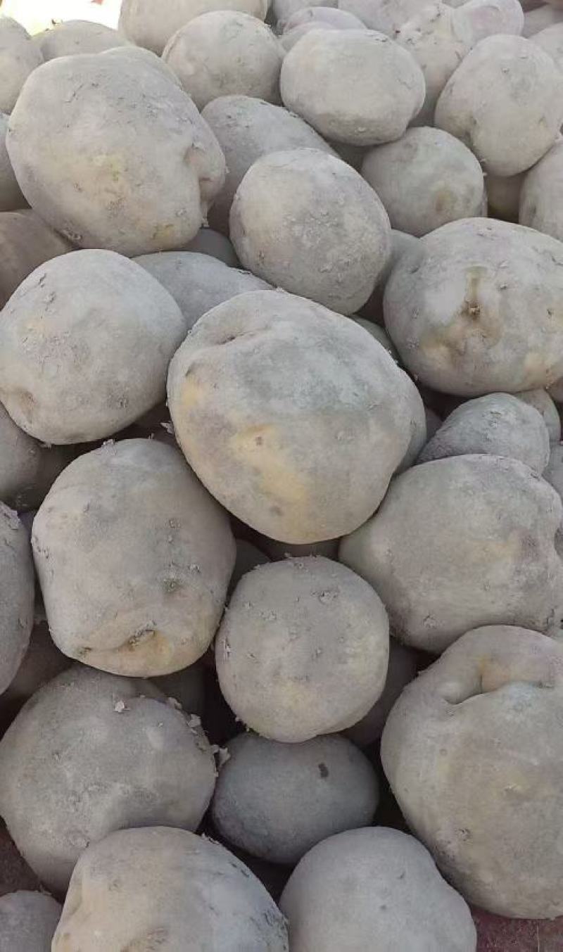 精品大西洋