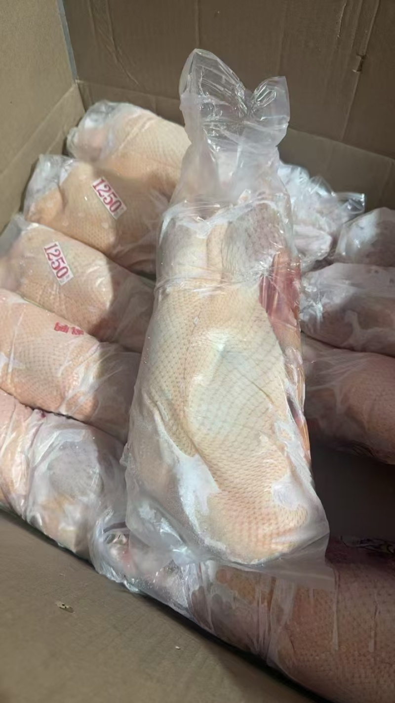 二级白条鸭700-800